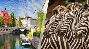 Darojković Promet vodi vas na jednodnevni izlet u LJUBLJANU i posjet čuvenom ZOO vrtu - sve uz uključen prijevoz, stručno razgledavanje starog gradskog središta i slobodno vrijeme za uživanje!