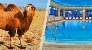 Upoznaj ĐURĐEVAC – savršen VIKEND u srcu Podravine! 2 noćenja s POLUPANSIONOM za 2 osobe u Hotelu Picok, boravak za dvoje djece do 6 godina GRATIS i uživanje u domaćoj podravskoj kuhinji!