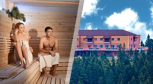 ROGLA: Planinski WELLNESS RAJ u hotelu Natura! 3 dana i 2 noćenja s POLUPANSIONOM za 2 osobe, neograničen ulaz u SAUNE i whirlpool, besplatan parking i čak 30% POPUSTA na bazene Terme Zreče!