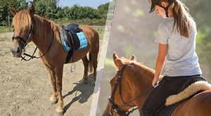 4 SATA JAHAČKE AVANTURE uz Kupu za samo 69 €! Terensko jahanje (hod, kas, galop) - Udruga Šapat konja za jahače S ISKUSTVOM. OSIGURAJ SVOJE MJESTO na vrijeme i doživi spoj prirode i čiste SLOBODE!