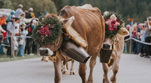 KRAVLJI BAL UKANC – BOHINJ! Najstariji i najautentičniji bohinjski događaj u zagrljaju prekrasne prirode Bohinja - oživi jedinstvenu priču tradicije i veselja uz jednodnevni izlet za samo 28€!