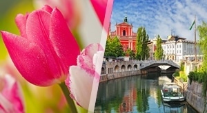 Istražite SLOVENIJU - Darojković Promet vodi Vas na jednodnevni izlet u Arboretum Volčji Potok i Ljubljanu s uključenim autobusnim prijevozom!
