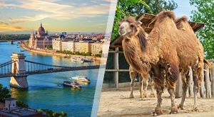 BUDIMPEŠTA i ZOO VRT: Savršen jednodnevni izlet! Uživajte u panoramskom razgledu, VOŽNJI DUNAVOM uz šampanjac i shoppingu u ulici Váci uz DAROJKOVIĆ PROMET i polazak iz Zagreba!