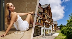 LJETO u Forest Hotelu Videc! 2 noćenja s POLUPANSIONOM i pićem za 2 osobe i dijete uz neograničen WELLNESS i domaću piknik KOŠARICU! Idealna OBITELJSKA  idila na svježem planinskom zraku!