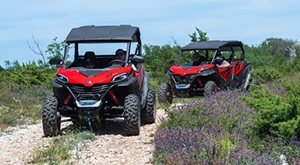 TERRA EXPLORER FAMILY TOUR u Istri za 2 ili 4 osobe! Izaberite top BUGGY AVANTURU: Wheels   Wine uz degustaciju ili Golden Escape uz rijeku Rašu i Šumberske dine uz 2,5 h off-road zabave!