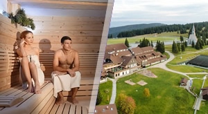 Planinski odmor na Rogli uz wellness! 2 noćenja s POLUPANSIONOM za dvoje u hotelu Planja 4* ili Rogla 3*, uključen hotelski BAZEN, saune i 30% POPUSTA na Terme Zreče + 1 dijete do 12 g. boravi GRATIS!