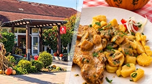NEDJELJA ZA PAMĆENJE  u restoranu Garfield - Obiteljski ručak i zabava za najmlađe - SAVRŠENA NEDJELJA ZA CIJELU OBITELJ!