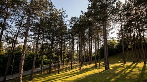 Motel Babino Brdo - Obiteljsko opuštanje uz predivan pogled, Derventa, Bosna i Hercegovina - 63 EUR - 1x noćenje u dvokrevetnoj sobi za 3 osobe, Besplatan Wi-Fi