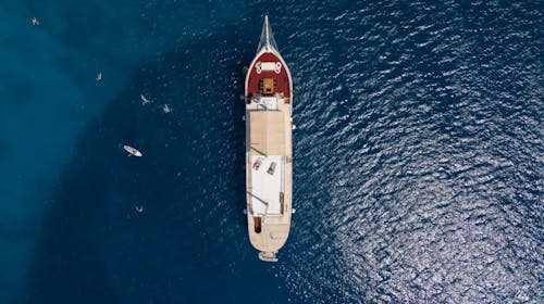 8-dnevno krstarenje sjevernim Jadranom - Polazak iz Rijeke, Rijeka, Hrvatska - 749 EUR - 8-dnevno krstarenje brodom po ruti R1: Rijeka – otok Krk – otok Rab – Zadar – Nacionalni park Kornati – zadarski arhipelag – otok Lošinj – otok Cres – Rijeka, 7x noćenje u dvokrevetnoj kabini (klima, kupaonica) na brodu Comfort Plus kategorije – Sveti Vid, Kazimir ili Planka za 1 osobu