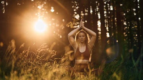 Forest Apartments Videc - Ljetni wellness odmor na Pohorju tijekom tjedna za 6 osoba, Pohorje, Slovenija - 279 EUR - 2x noćenje u jednosobnom apartmanu s balkonom ili terasom za 6 osoba, Neograničeno korištenje WellNest unutarnjega bazena od 12 do 20 sati
