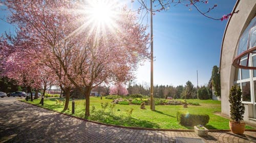 Hotel Ovit - Odmor u Mađarskoj, Keszthely, Mađarska - 290 EUR - 2x noćenje u dvokrevetnoj Standard sobi s terasom ili balkonom i čajnom kuhinjom za 2 osobe, Polupansion