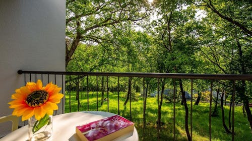 Holiday resort Kačjak - Ljeto za parove, Kačjak, Hrvatska - 539 EUR - 5x noćenje u Standard dvokrevetnoj sobi s balkonom na morskoj strani za 2 osobe, Polupansion