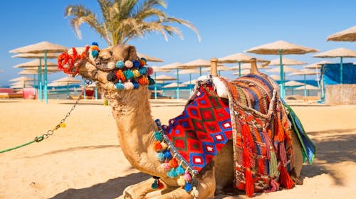 All inclusive ljetni odmor u Hurgadi, Hurgada, Egipat - 2.099 EUR - 7x noćenje u hotelu 4* za 2 odrasle osobe, All inclusive