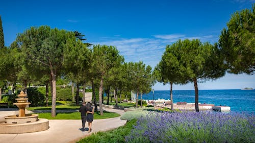 Maistra Island Hotel Istra - Wellness opuštanje u Rovinju, Rovinj, Istra, Hrvatska - 298 EUR - 2x noćenje u dvokrevetnoj sobi za 2 osobe (1 dijete do 11,99 godina besplatno), Polupansion