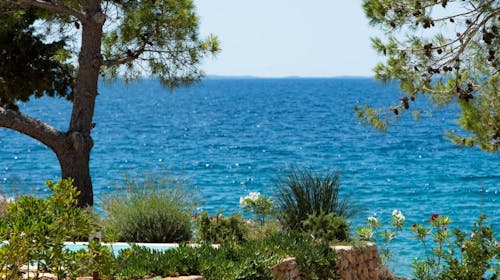 Terra Park Phalaris - Obiteljsko ljeto u savršenom kampu - Pinus Holiday Home, Novalja, Pag, Dalmacija, Hrvatska - 2.141 EUR - 7x noćenje u Pinus Holiday Home za do 5 osoba (4 odrasle osobe i 1 dijete do 11,99 godina), Posteljina i ručnici