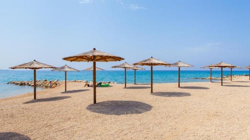 Terra Park Phalaris - Obiteljsko ljeto u savršenom kampu - Pinus Holiday Home s bazenom, Novalja, Pag, Dalmacija, Hrvatska - 2.176 EUR - 5x noćenje u Pinus Holiday Home s privatnim bazenom za do 5 osoba (4 odrasle osobe i 1 dijete do 11,99 godina), Korištenje privatnog grijanog bazena
