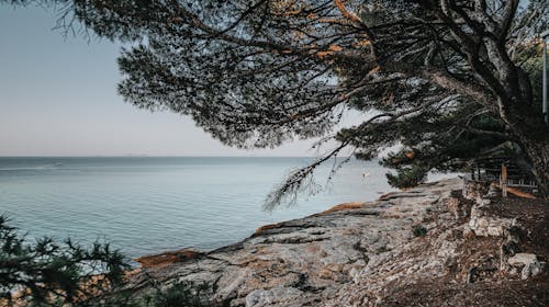 Colentum Resort Murter - Odmor na Murteru, Murter, Hrvatska - 219 EUR - 2x noćenje u dvokrevetnoj sobi s balkonom za 2 osobe, Polupansion