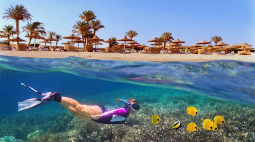 Jesenski obiteljski odmor u Sharm el-Sheikhu, Sharm el-Sheikh, Egipat - 2.299 EUR - 6x noćenje 4* hotelu 2 odrasle osobe i 1 dijete, All inclusive