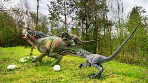 Dinopark Bled - Ulaznica za djecu, Lesce, Slovenija - 5,60 EUR - 1x ulaznica za Dinopark za 1 dijete (djeca od 3 do 17,99 godina), Korištenje 6 D Dinokina