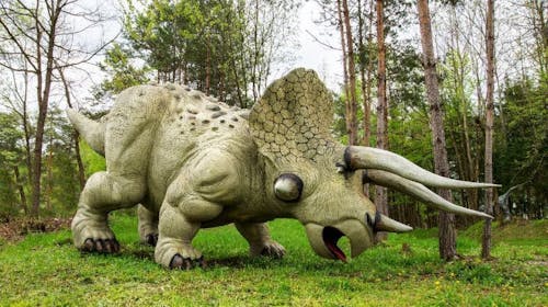 Dinopark Bled - Obiteljska ulaznica, Lesce, Slovenija - 22,40 EUR - 1x obiteljska ulaznica za Dinopark (za 2 odrasle osobe i maksimalno 3 djece), Korištenje 6 D Dinokina
