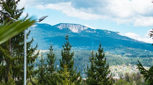 Hotel Forest - Vikend odmor na Jahorini za troje, Pale, Bosna i Hercegovina - 129 EUR - 1x noćenje u trokrevetnoj Superior sobi za 3 osobe, Doručak
