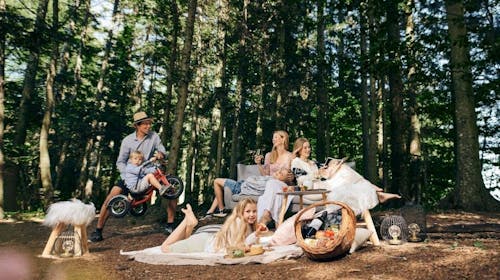 Forest Hotel Videc - Uskrsni ili prvosvibanjski wellness odmor na Pohorju, Pohorje, Slovenija - 249 EUR - 2x noćenje u dvokrevetnoj Standard sobi s pomoćnim ležajem i prostranim balkonom za 2 osobe (1 dijete do 6 godina besplatno), Polupansion