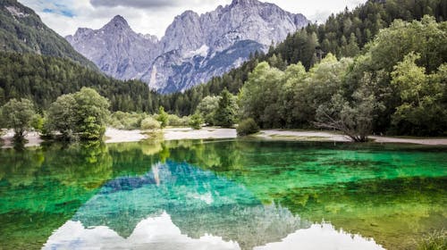 Hotel Alpina - Doživite više u Kranjskoj Gori, Kranjska Gora, Slovenija - 283 EUR - 3x noćenje u dvokrevetnoj sobi za 2 osobe, Doručak
