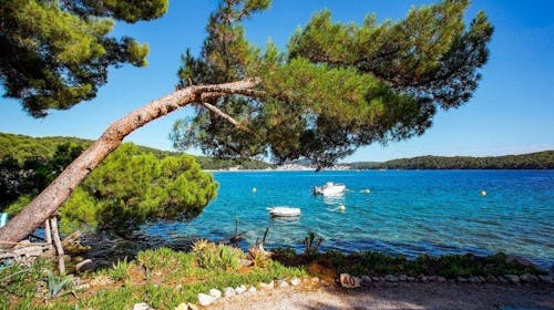 Camping Village Poljana - Mobilna kućica - Rujan na Malom Lošinju, Mali Lošinj, Hrvatska - 425 EUR - 5x noćenje u mobilnoj kućici Bellavista za 4 osobe (1 dijete do 11,99 godina besplatno), Korištenje struje, plina i vode