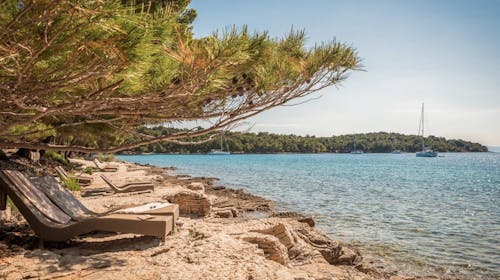 Aminess Senses Hvar Resort - Obiteljska jesen sa all inclusive light na Hvaru - Posebna akcijska cijena, Vrboska, Hrvatska - 198 EUR - 2x noćenje u dvokrevetnoj Superior sobi s balkonom za 2 osobe (1 dijete do 9,99 godina besplatno), All inclusive light