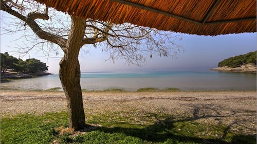 Kamp Rehut - Mobilne kućice - Last minute odmor na otoku Murter, Slanica, Hrvatska - 339 EUR - 3x noćenje u mobilnoj kućici Adria, Aurora, Sunset ili Onyx za 4 osobe, Besplatan Wi-Fi
