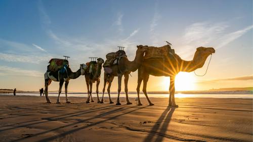 Odmor u Maroku, Agadir, Maroko - 1.599 EUR - 7x noćenje u hotelu za 2 odrasle osobe, Doručak