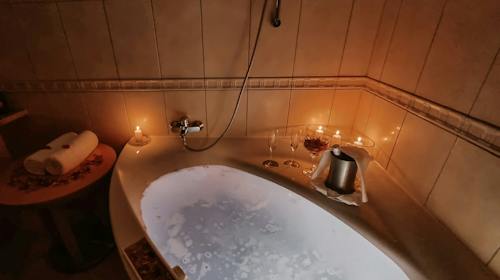 Grand Hotel Sava Superior - VIP paket wellness opuštanja u Suite-u Kupid Superior - 72-satna akcija, Rogaška Slatina, Slovenija - 390 EUR - 2x noćenje u Suite-u Kupid Superior za 2 osobe, Polupansion